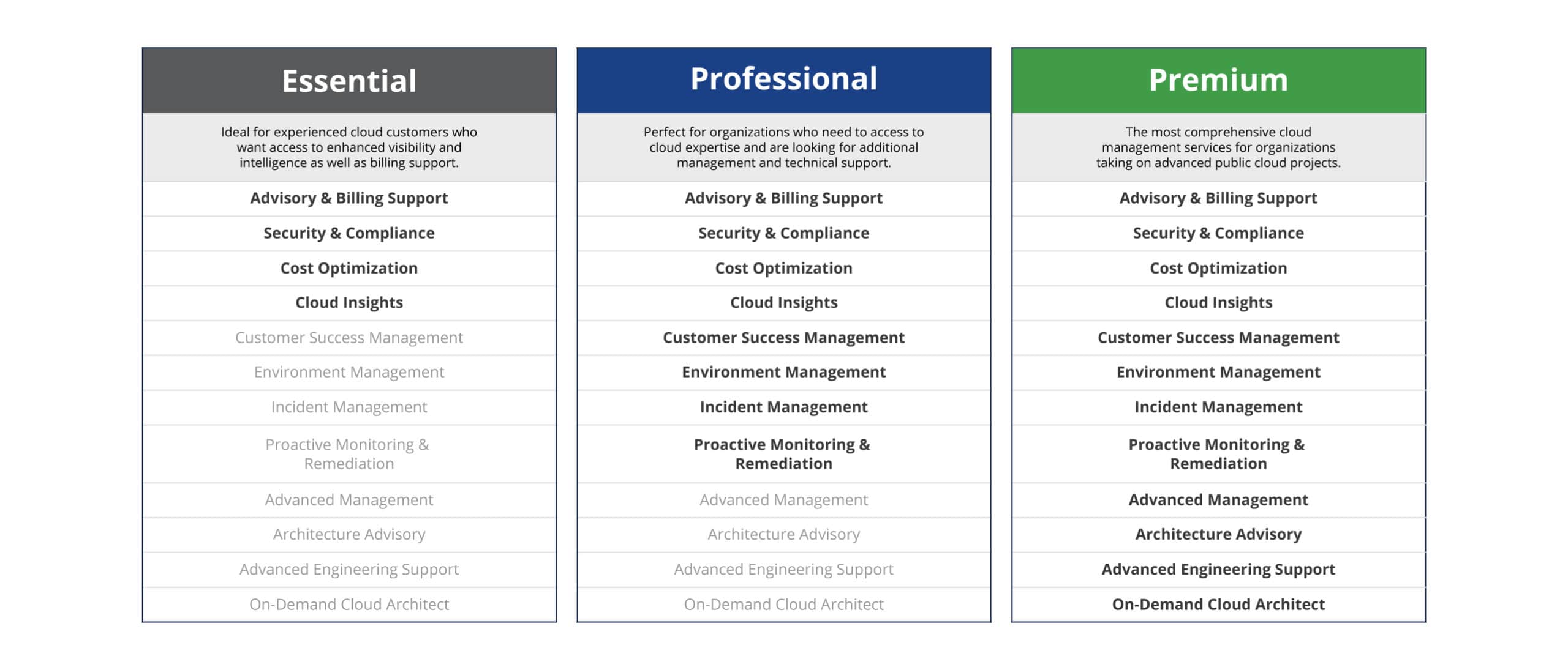 Managed Public Cloud Service Packages_TierPoint